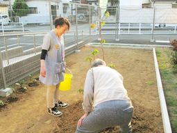 庭での植物のお手入れ