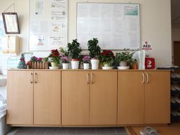 掲示物と植物のある空間