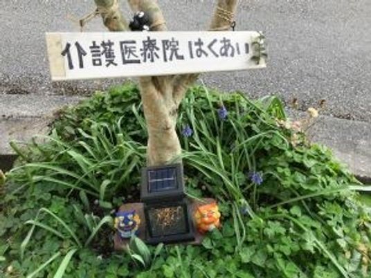はくあい亭の看板と植栽  