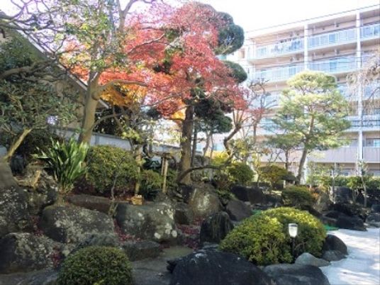 中庭の自然豊かな景観