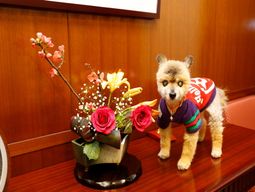 花と犬がいるロビー