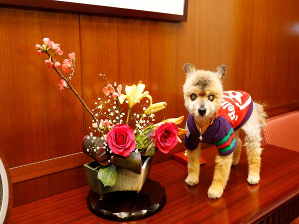 花と犬がいるロビー