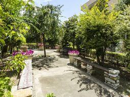 緑豊かな中庭