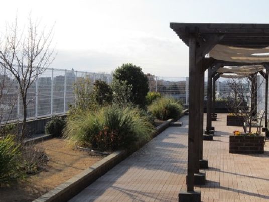 屋上庭園の風景