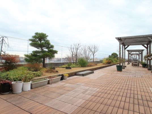  屋上庭園の風景  