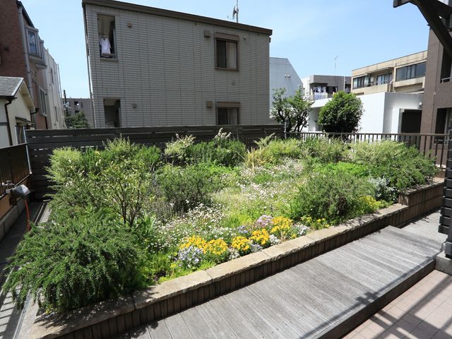 緑豊かな施設の中庭 庭園 四季折々の花々を楽しめる緑あふれる休憩スポットです。居住者のリラクゼーションにも適しています。