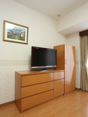 居室のテレビと収納