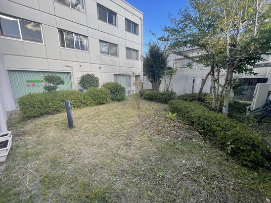ゆったりとした中庭風景
