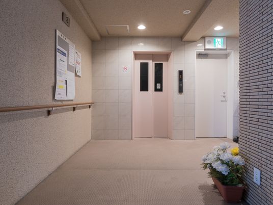 清潔感ある廊下の一角