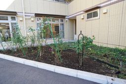 建物隣の手入れされた庭