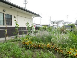 明るい庭の様子
