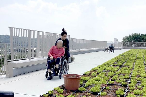 車椅子を利用した散歩