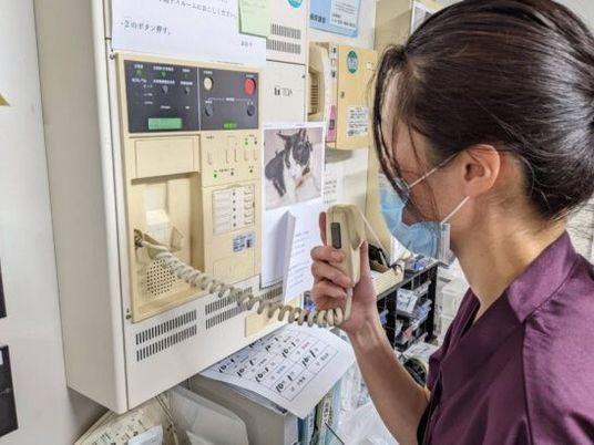 スタッフが通信機器を使用