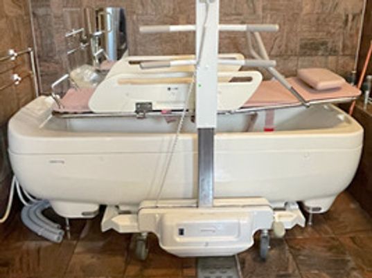 快適装備の清潔な浴室