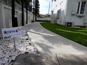 中庭の小道  