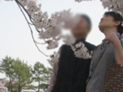 満開の桜の下で親睦を深める庭