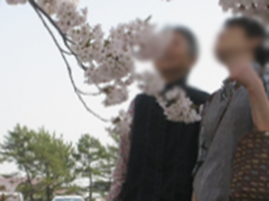 桜の季節を楽しむ庭  