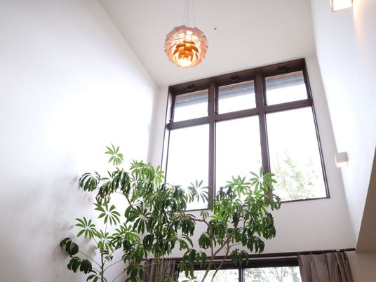 明るい窓と植物の室内