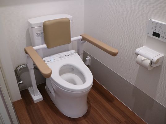 手すり付き清潔なトイレ