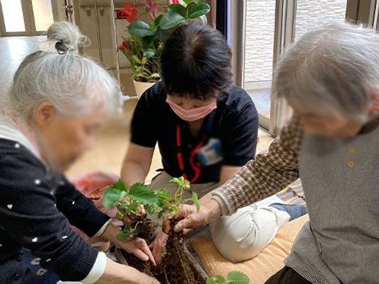 植物を育てる様子の居室