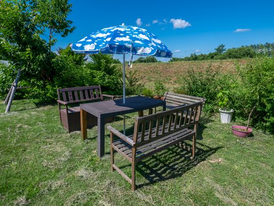 青空と緑のテラス