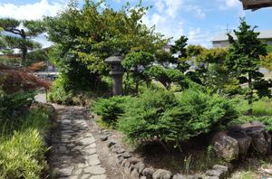 緑豊かで静かな庭