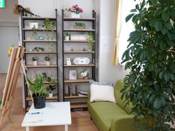 リビングの植物と家具