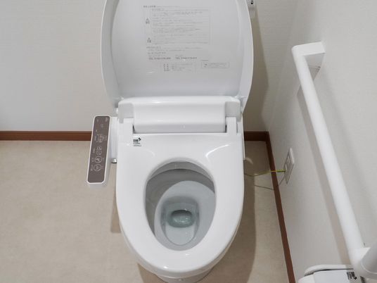 清潔なトイレと手すり