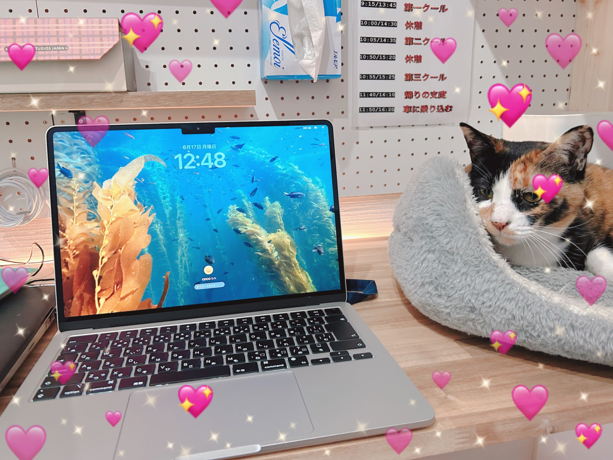 COCOリハの外観