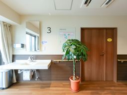 清潔な洗面台と緑の植物