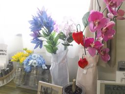 色鮮やかな花が並ぶ棚