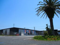 青空とヤシの木の外観