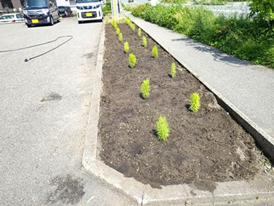 植栽帯のある外構  