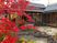 紅葉の庭と和風建物  