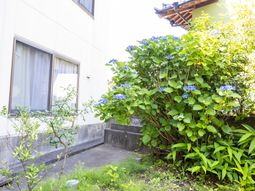 心安らぐ庭の風景