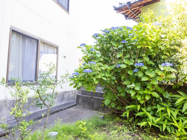 心安らぐ庭の風景