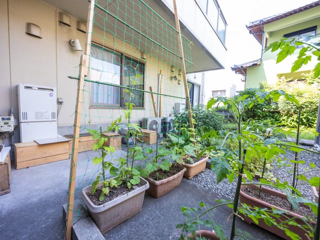 手入れされた中庭 中庭 緑に囲まれた中庭は、季節の変わり目を感じながら憩いの時を過ごせる場所です。