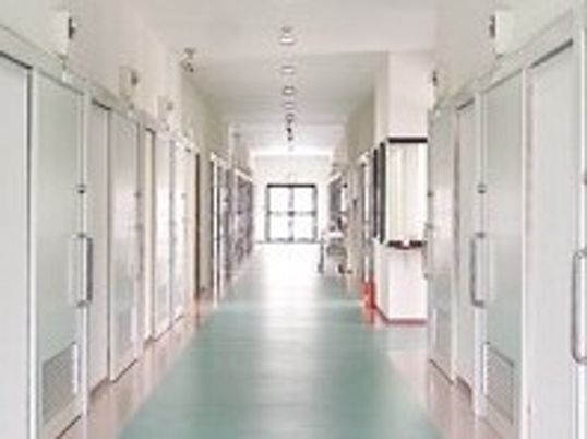 明るく広々とした廊下