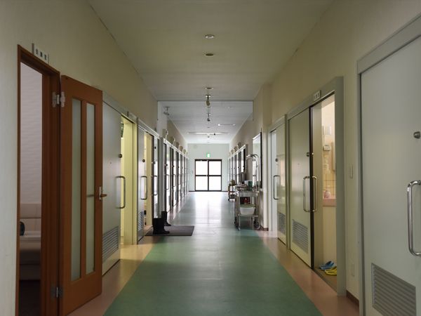 清潔な廊下の状況