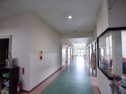 清潔感ある明るい廊下