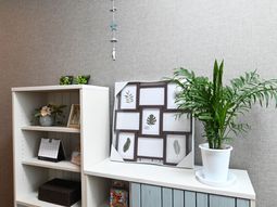 居室内の飾り棚と植物