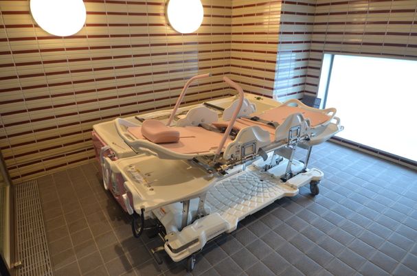 特殊機能付きの居室ベッド