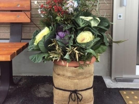 花の鉢と木製ベンチのある玄関  