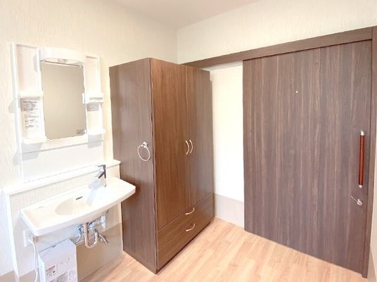 居室の洗面台とクローゼット