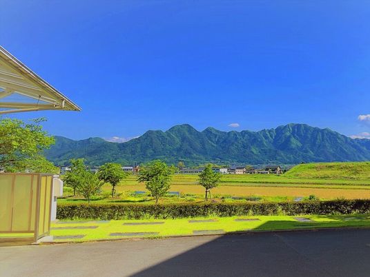 緑に囲まれた景観