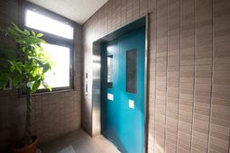 エレベーターと植物