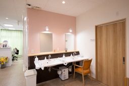 洗面台と鏡のある部屋