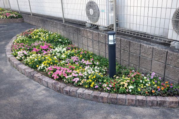 施設の花壇