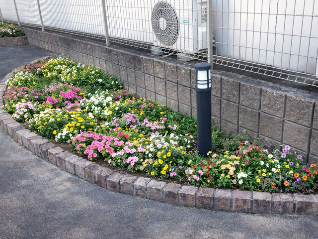 施設の花壇 庭 色とりどりの花が美しく咲き誇る花壇です。四季折々の花に癒されながら働けます。