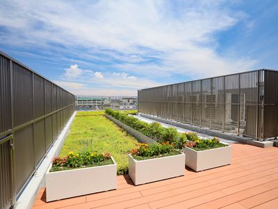 緑豊かな屋上庭園